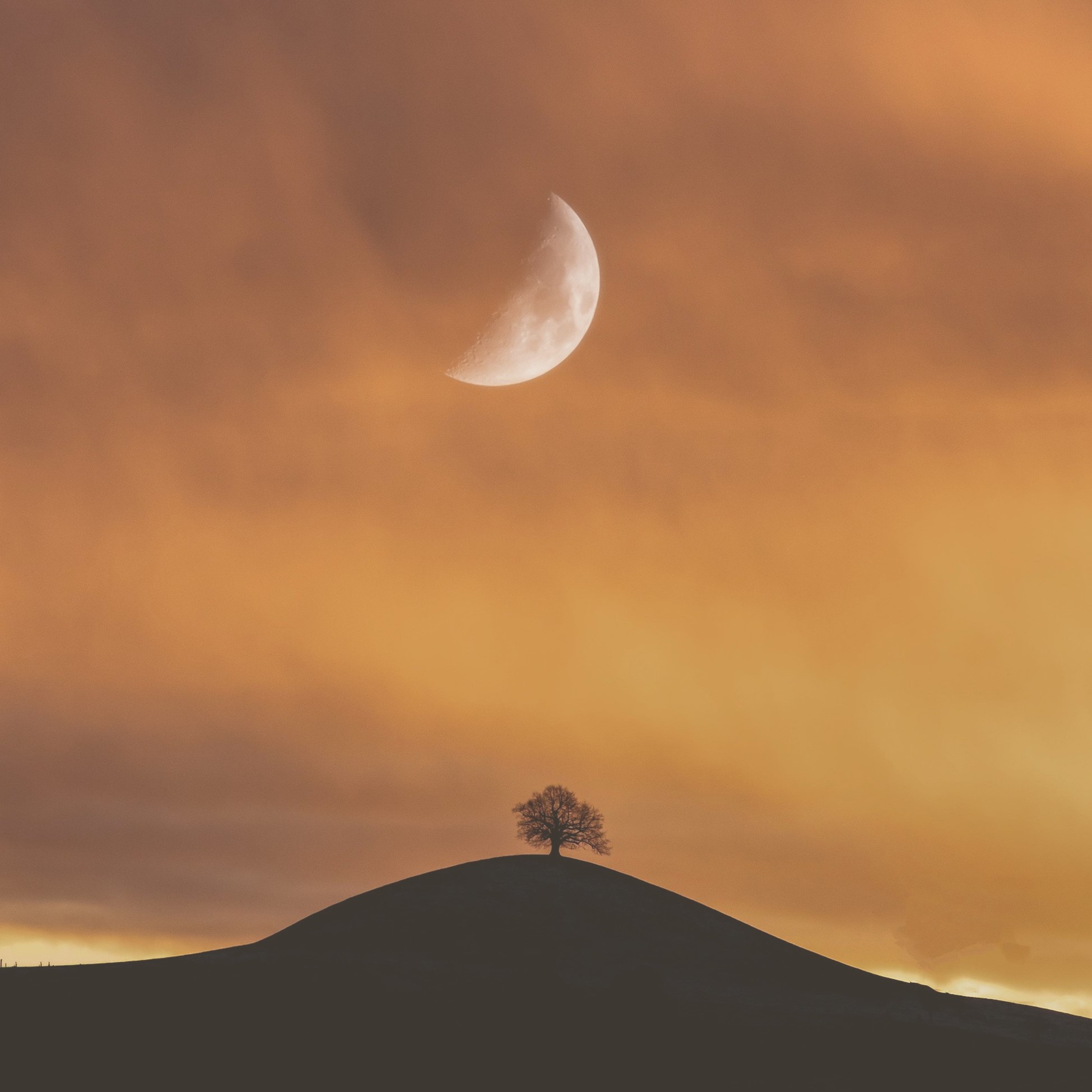 Übersicht: Mond in den 12 Sternzeichen